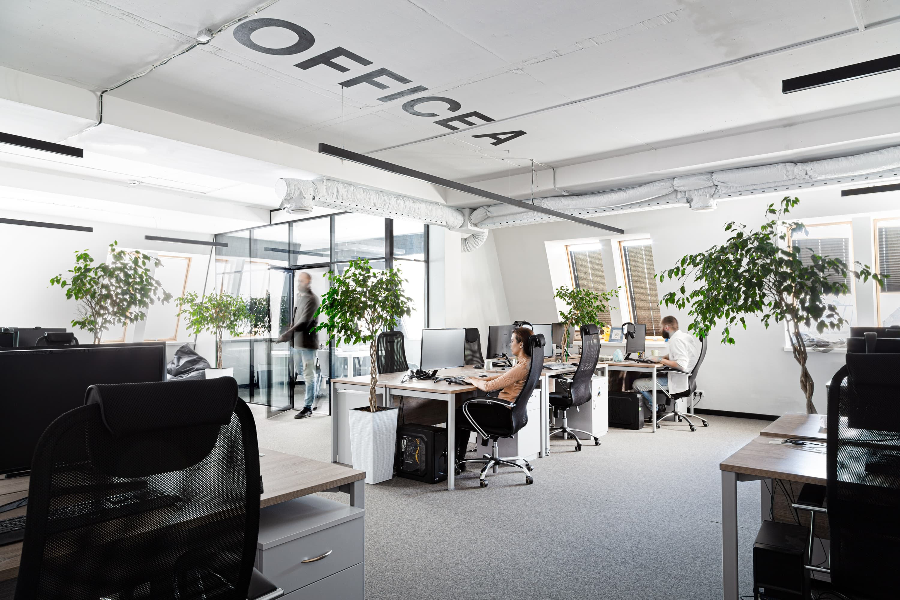 People in the office